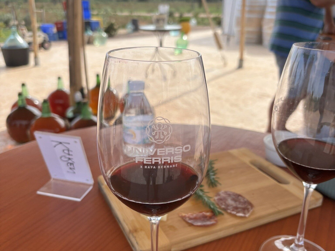 Universo Ferris-托雷维耶哈必去景点