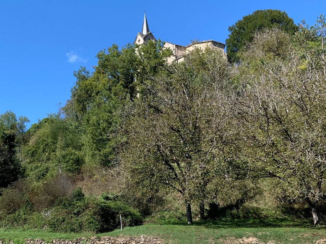 Les Savonniers主图