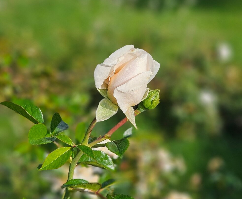 Casa de Mateus-Vila Real必去景点
