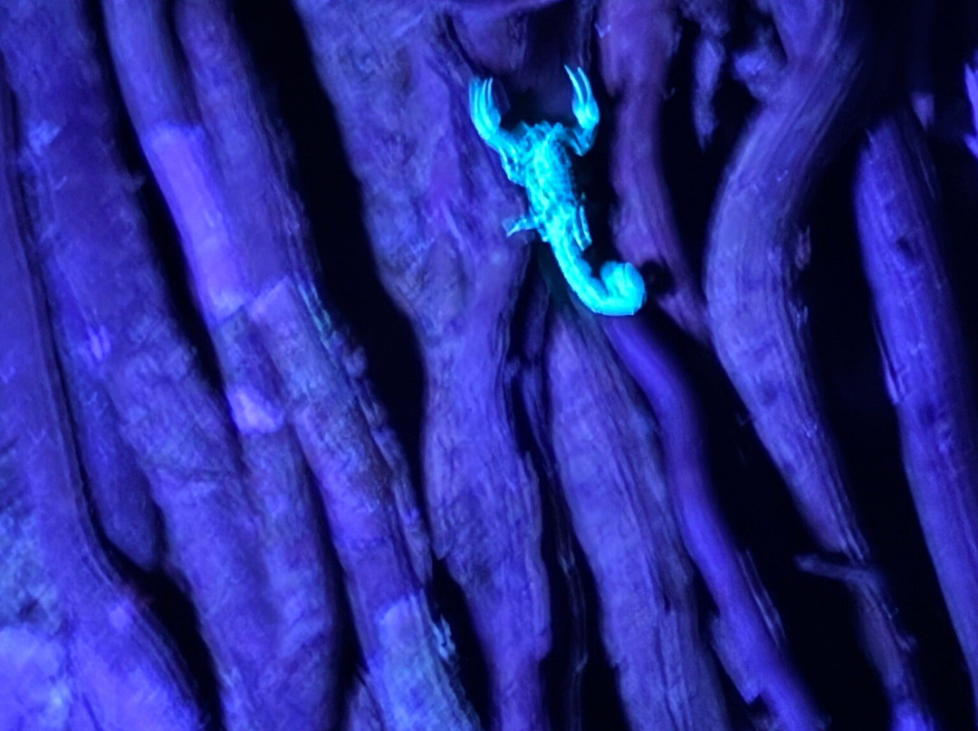 Manuel Tour Guide-卡维塔必去景点