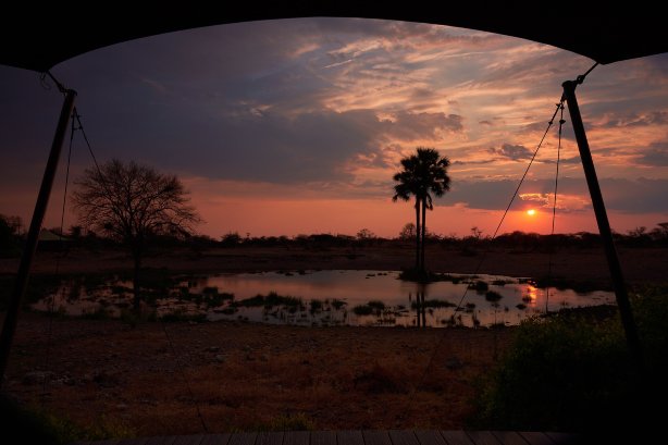 Onguma Tented Camp-酒店景观