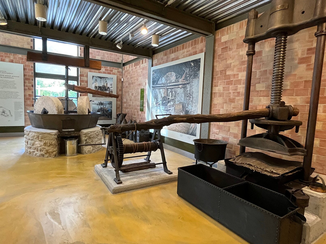 Museum of the Olive and Greek Olive Oil-Sparta必去景点