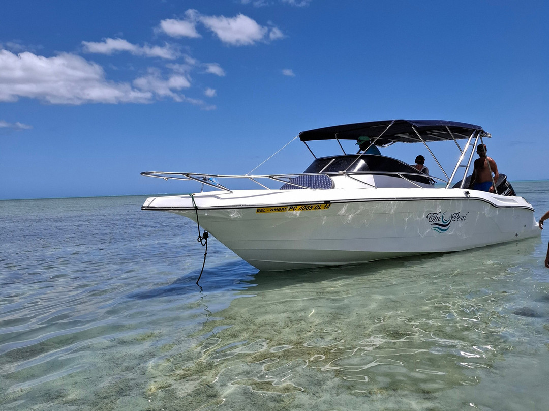 Namori Tours Sortie Dauphins-贝尔欧布莱必去景点