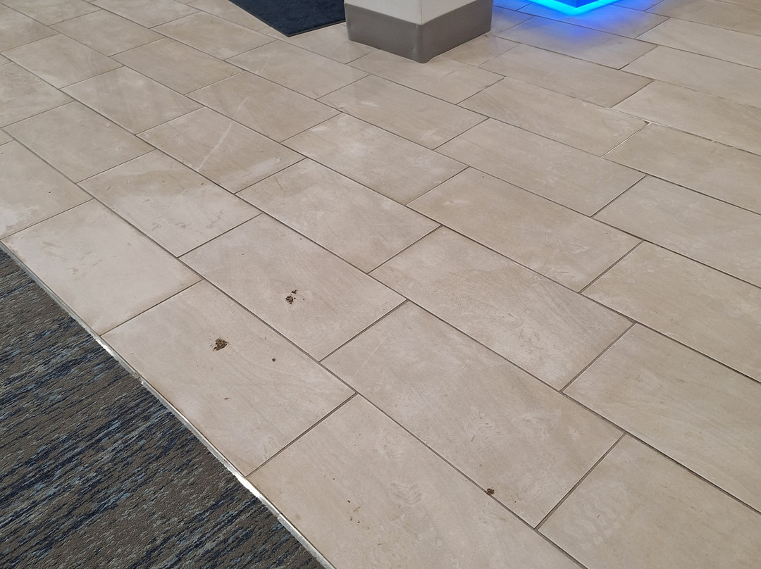 霍威尔快捷假日&套房酒店主图