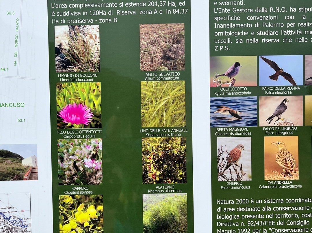 乌斯蒂卡-Ustica必去景点