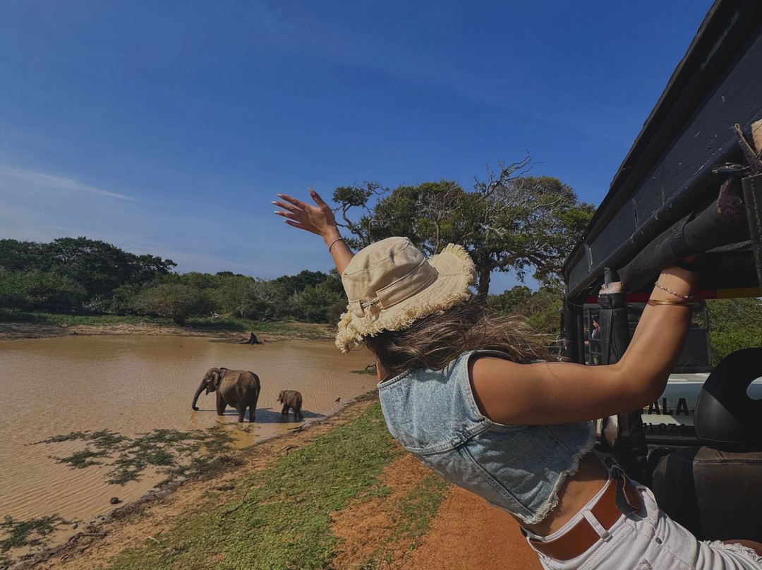 FineLankaTours-科伦坡必去景点