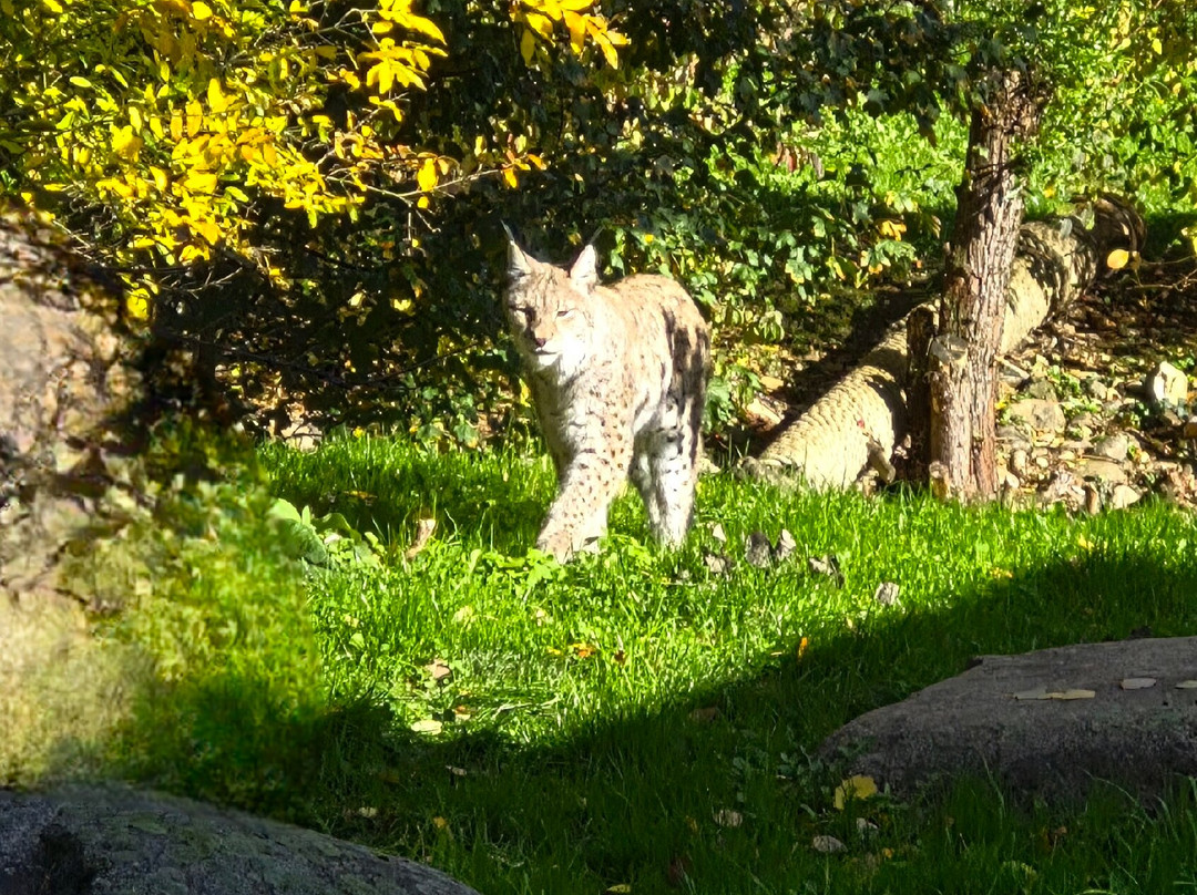 GaiaZOO-科尔克拉德必去景点