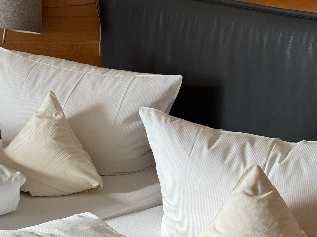 Hotel Sonnentau主图