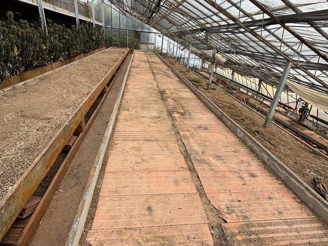 Giardino Esotico Pallanca-博尔迪盖拉必去景点