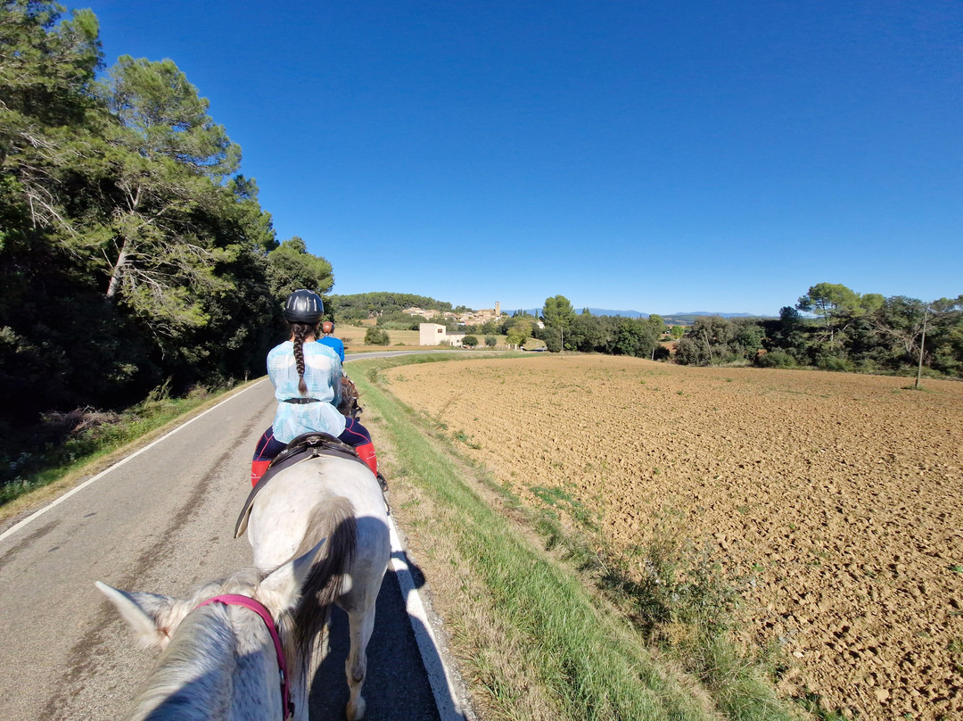Panorama Trails-Terradelles必去景点