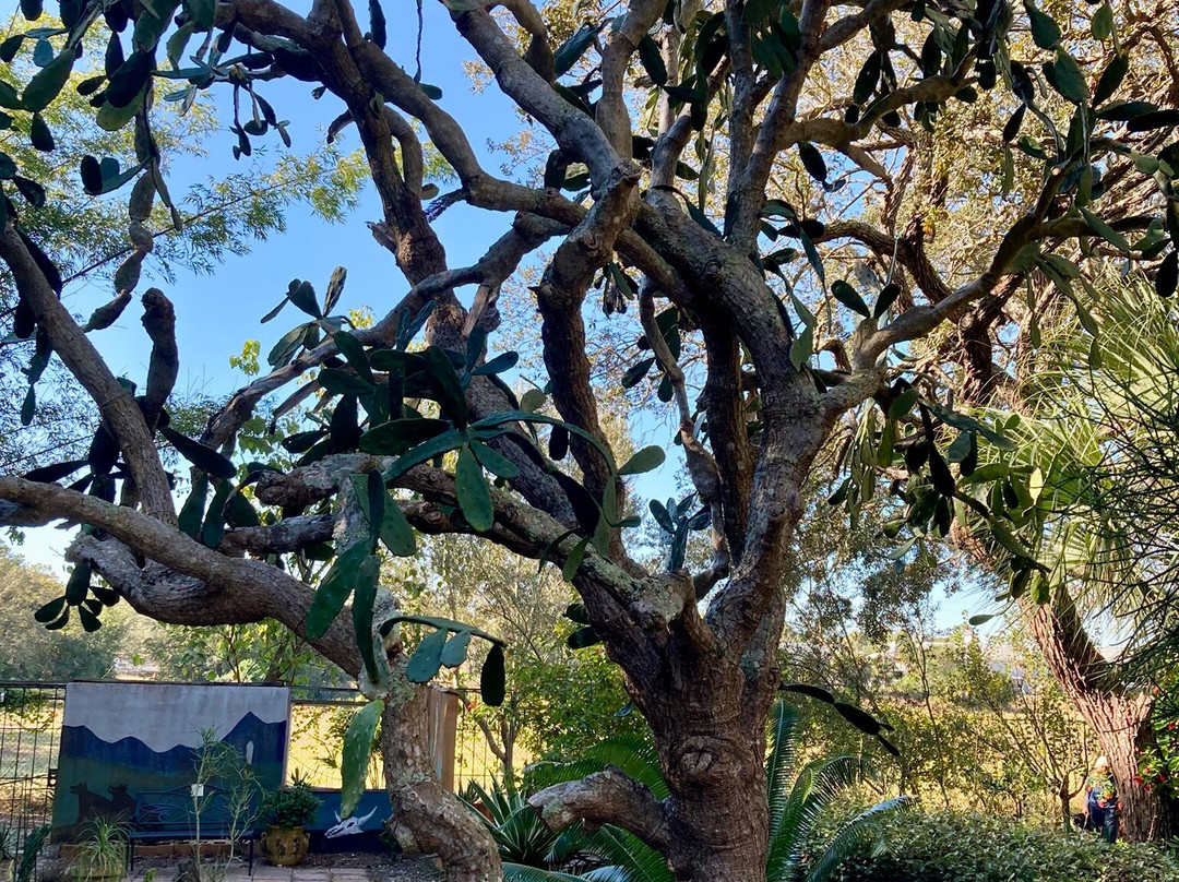 Nature Coast Botanical Gardens & Nursery-Spring Hill必去景点