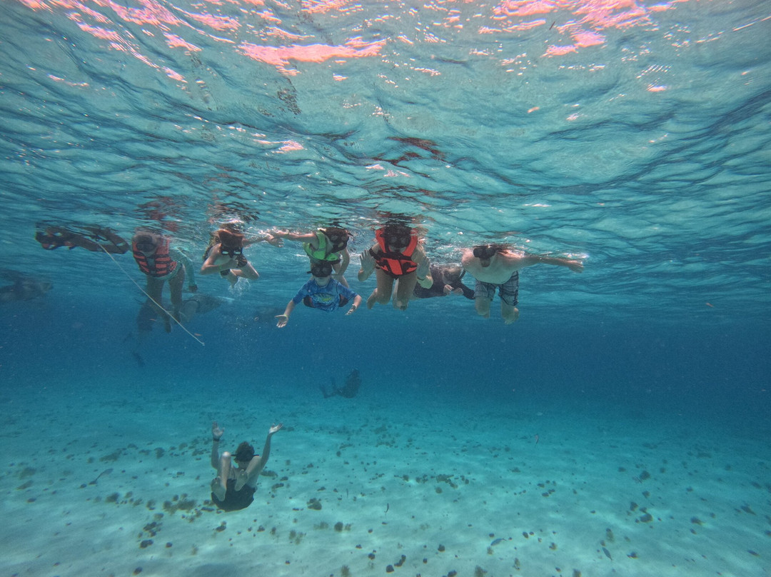 Smiggie's Excursion Concierge-考祖梅必去景点