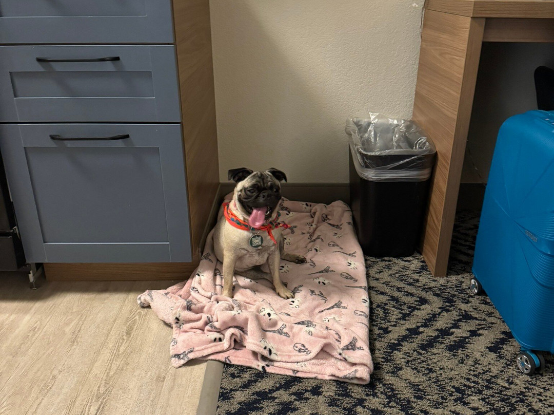 Candlewood Suites Nogales by IHG主图