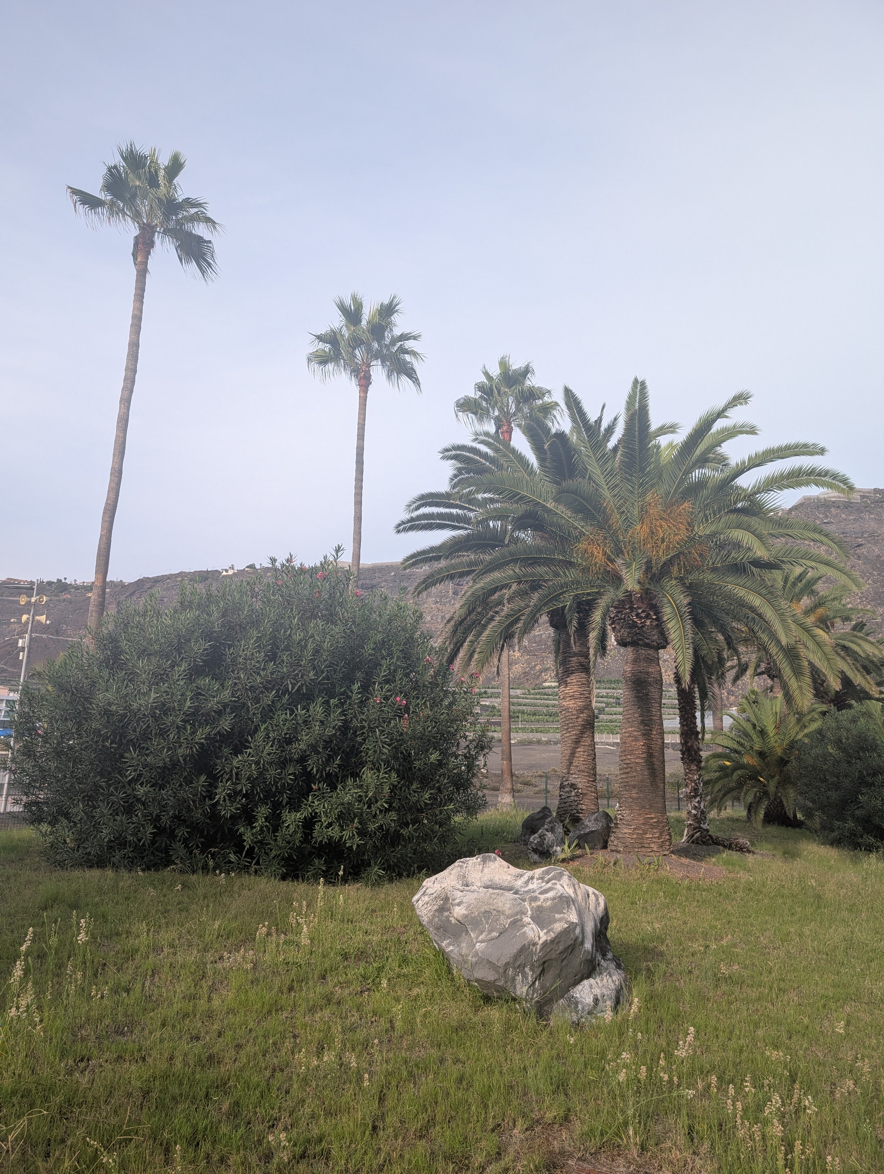 Meliá La Palma-浴室