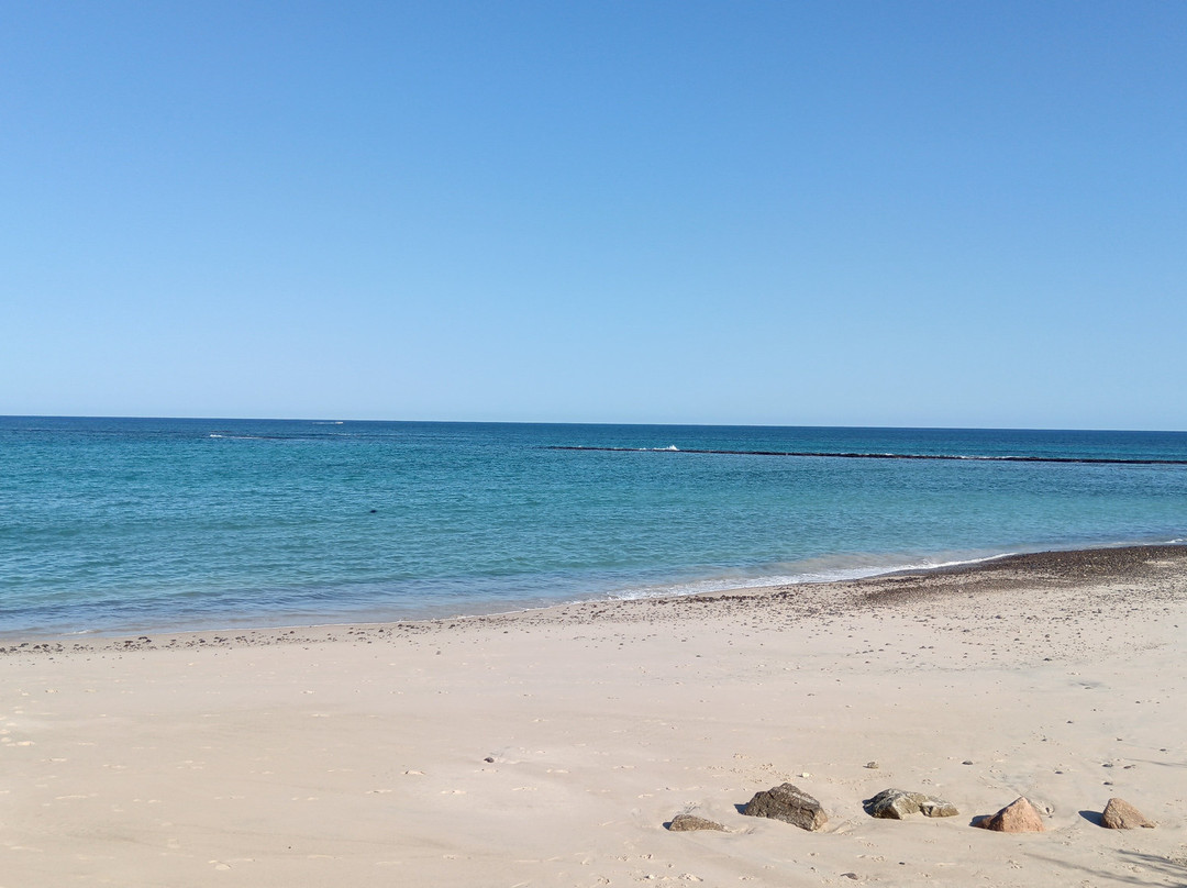 Cabo Pulmo Travel-Cabo Pulmo必去景点