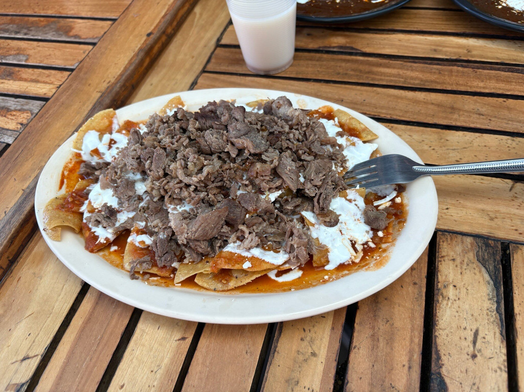 Secret Food Tours Mexico City-墨西哥城必去景点