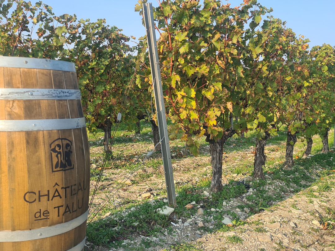 Château de Talu-Gelendzhik必去景点