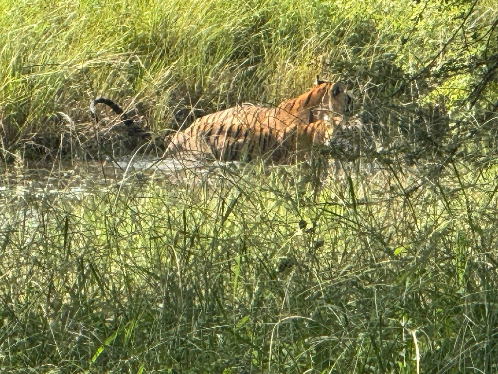 D.K. Car and Driver India-阿格拉必去景点