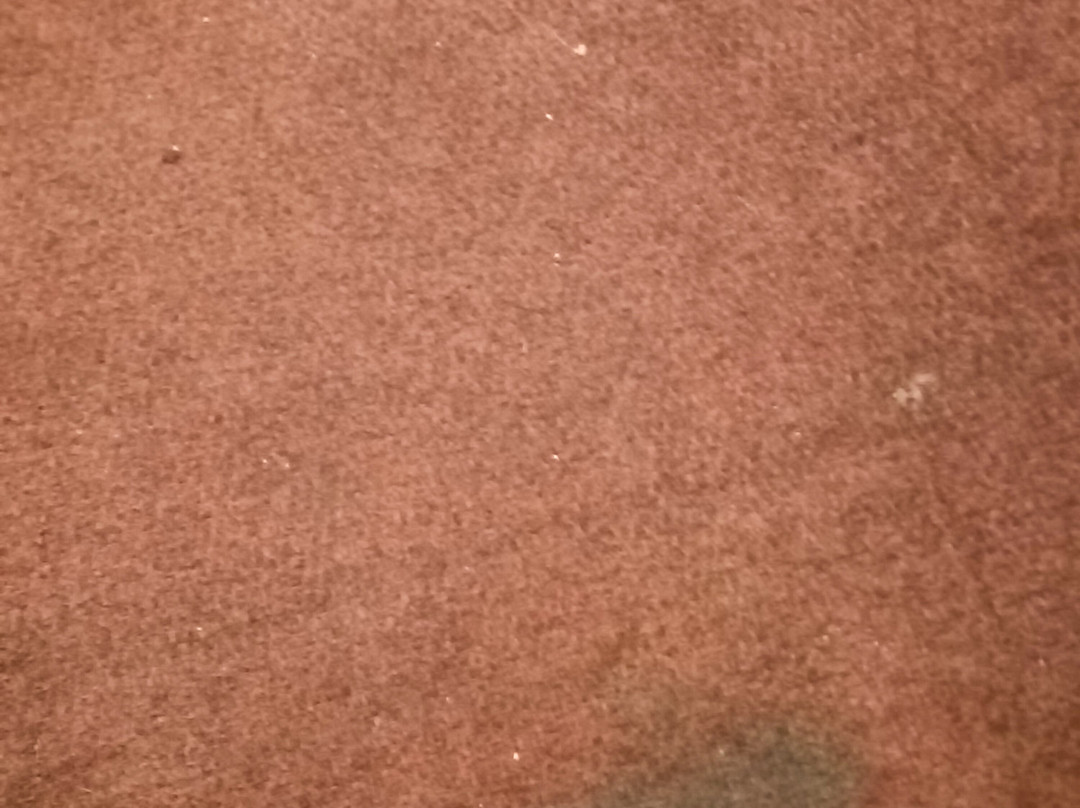 迪尔乐酒店集团主图