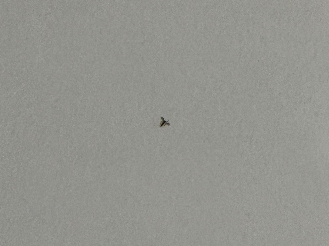 海洋中心酒店主图