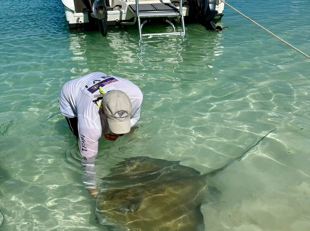 Brendal's Dive Center-Green Turtle Cay必去景点