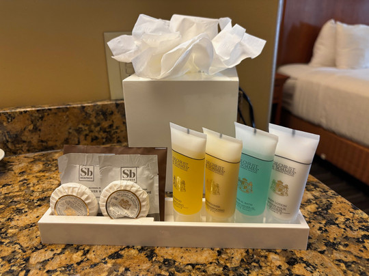 Best Western Plus Swiss Chalet Hotel & Suites主图