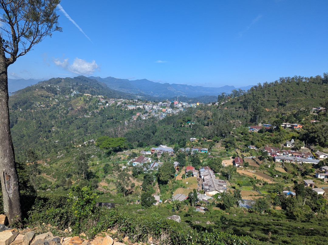 Ceylon JourneyBliss-Katukurunda必去景点
