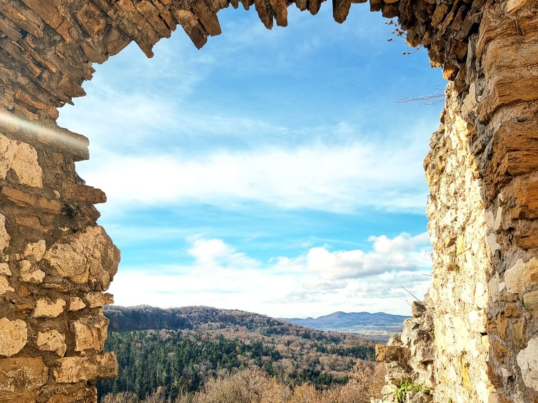 Castle Landskron-Leymen必去景点