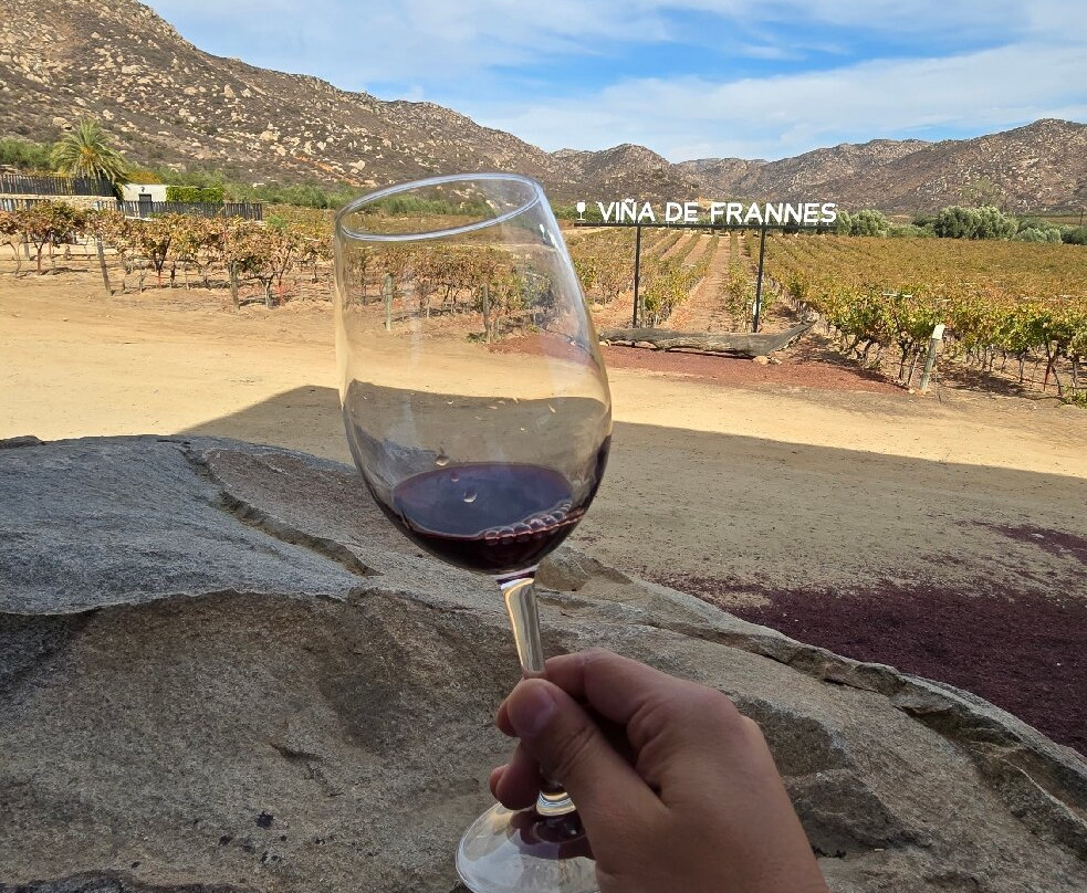 Vina de Frannes-Valle de Guadalupe必去景点