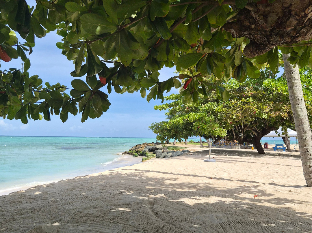 Shepherd's Inn主图