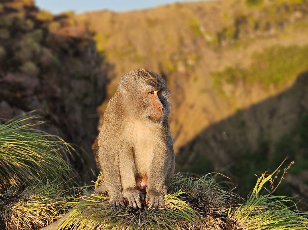 Bali Rêve-达巴南必去景点