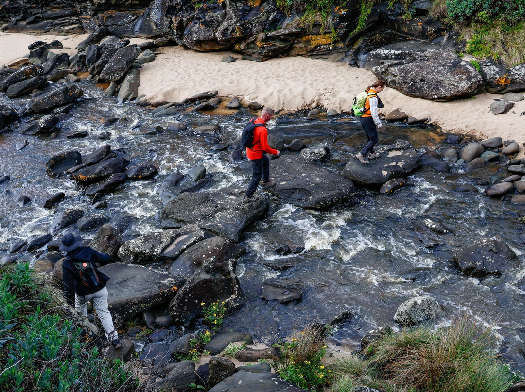 AllTrails Tours-墨尔本必去景点
