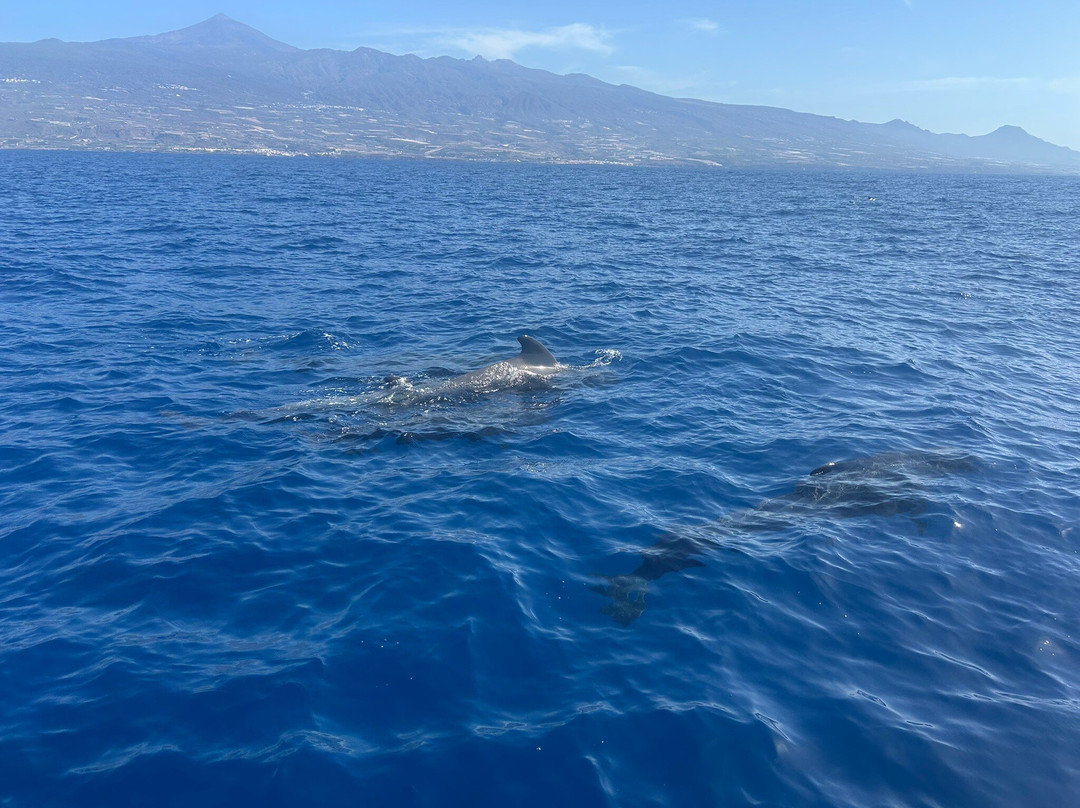 Maritima Acantilados-洛斯·吉甘特斯必去景点