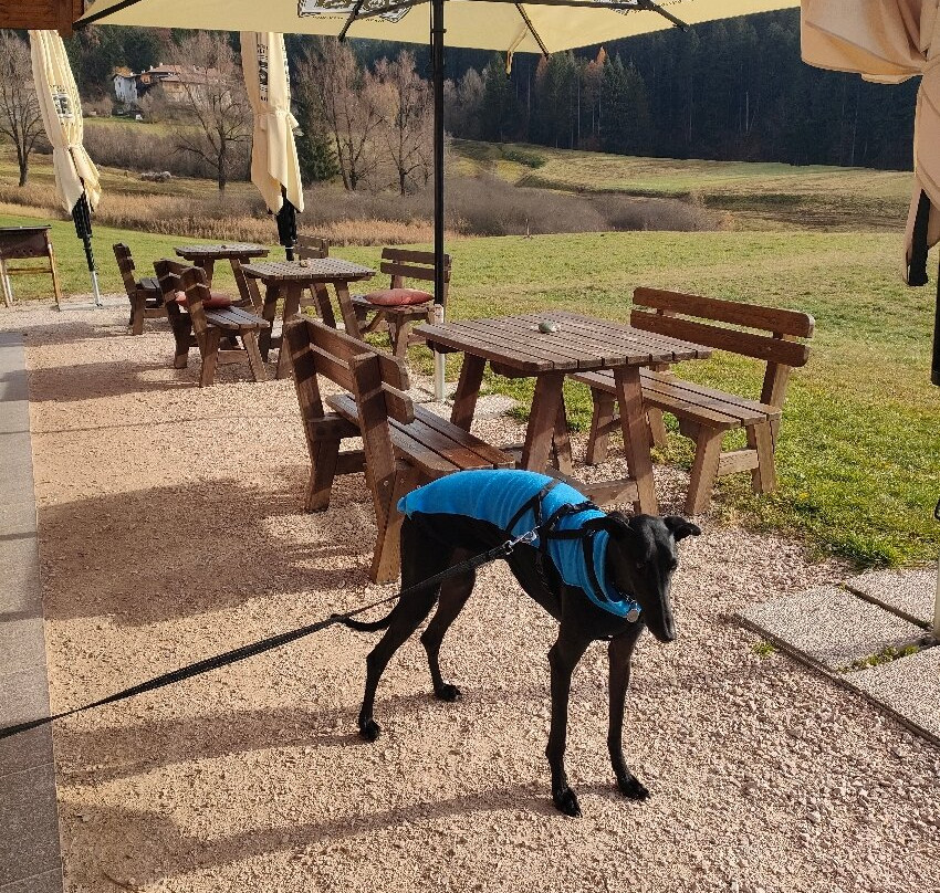 Ai Laghetti di Ruffrè: Arte, Natura, Pace-Ruffre-Mendola必去景点