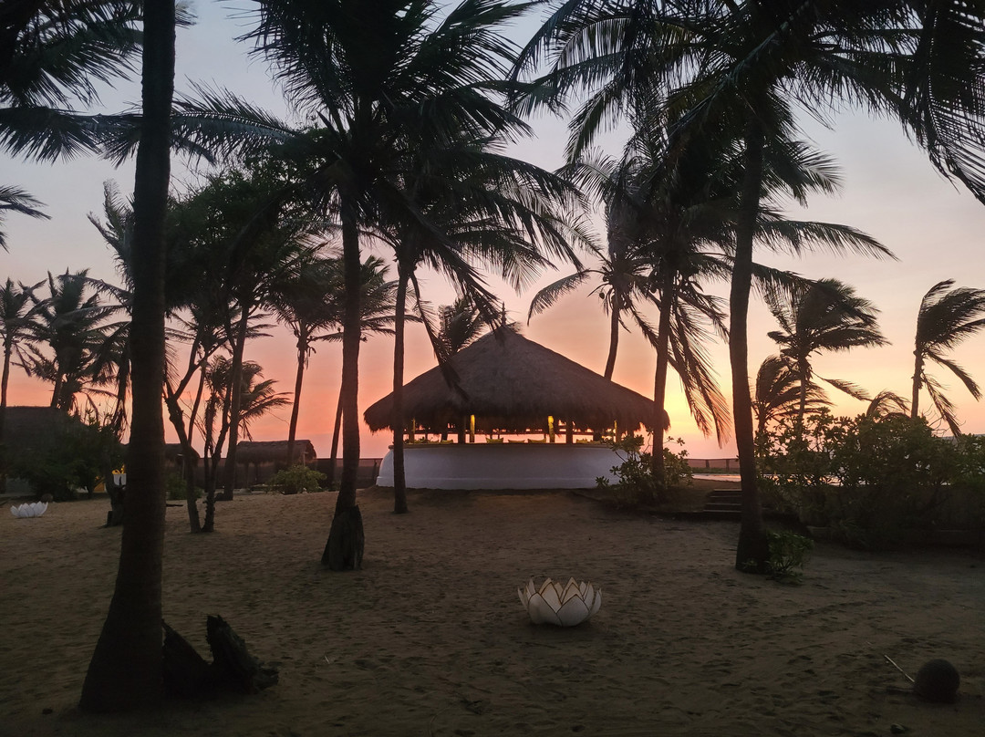 Ceylon Charming Travels-卡尔皮蒂耶必去景点