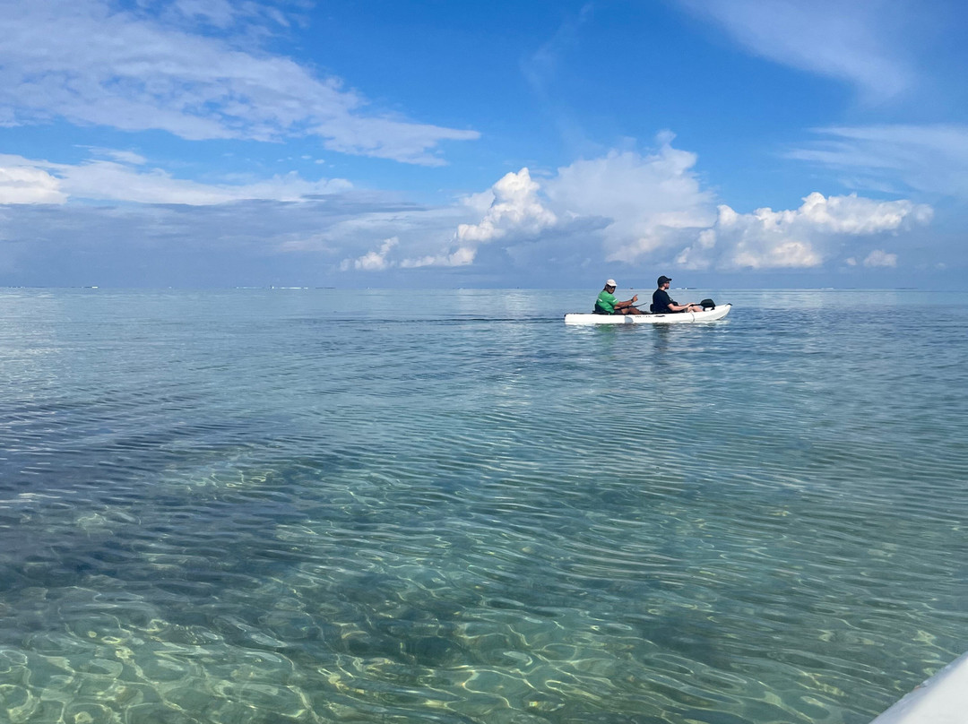 Yanature-黑河必去景点