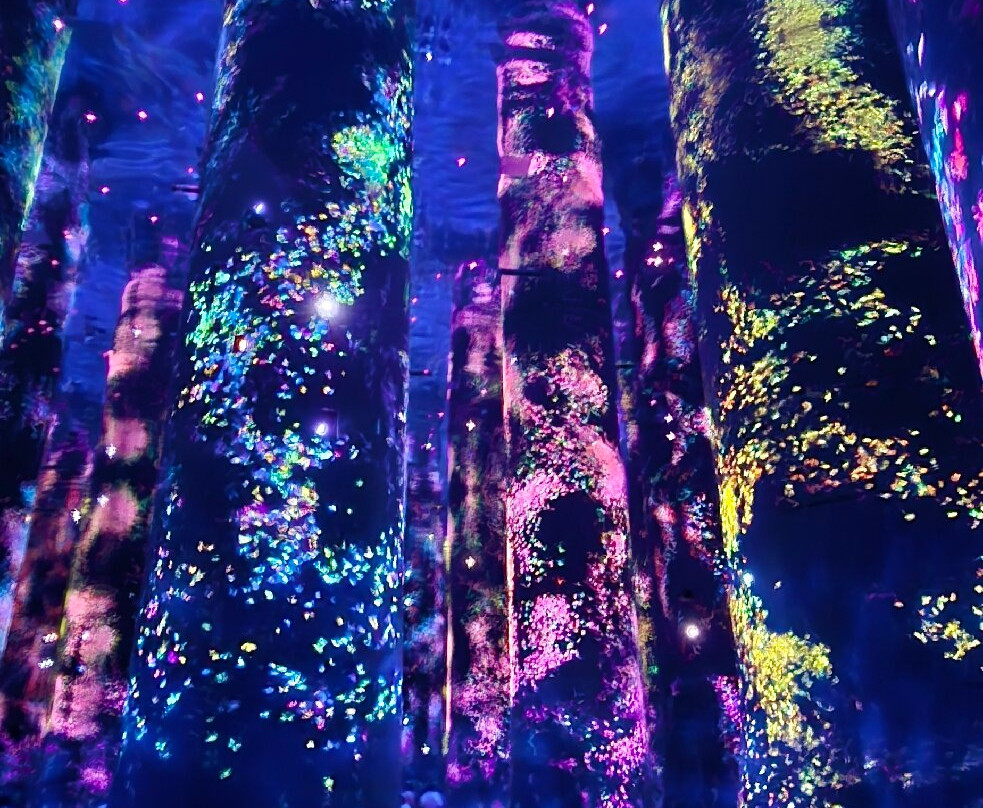 teamLab Phenomena Abu Dhabi-阿布扎比必去景点