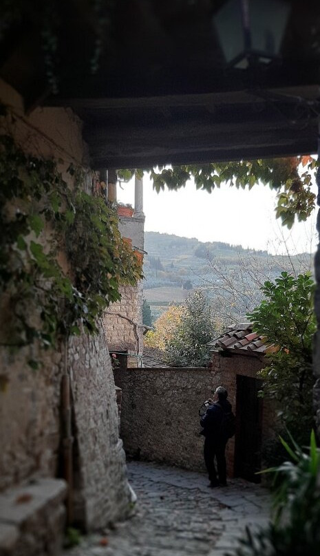 Castello di Montefioralle-格雷韦伊恩基亚恩蒂必去景点