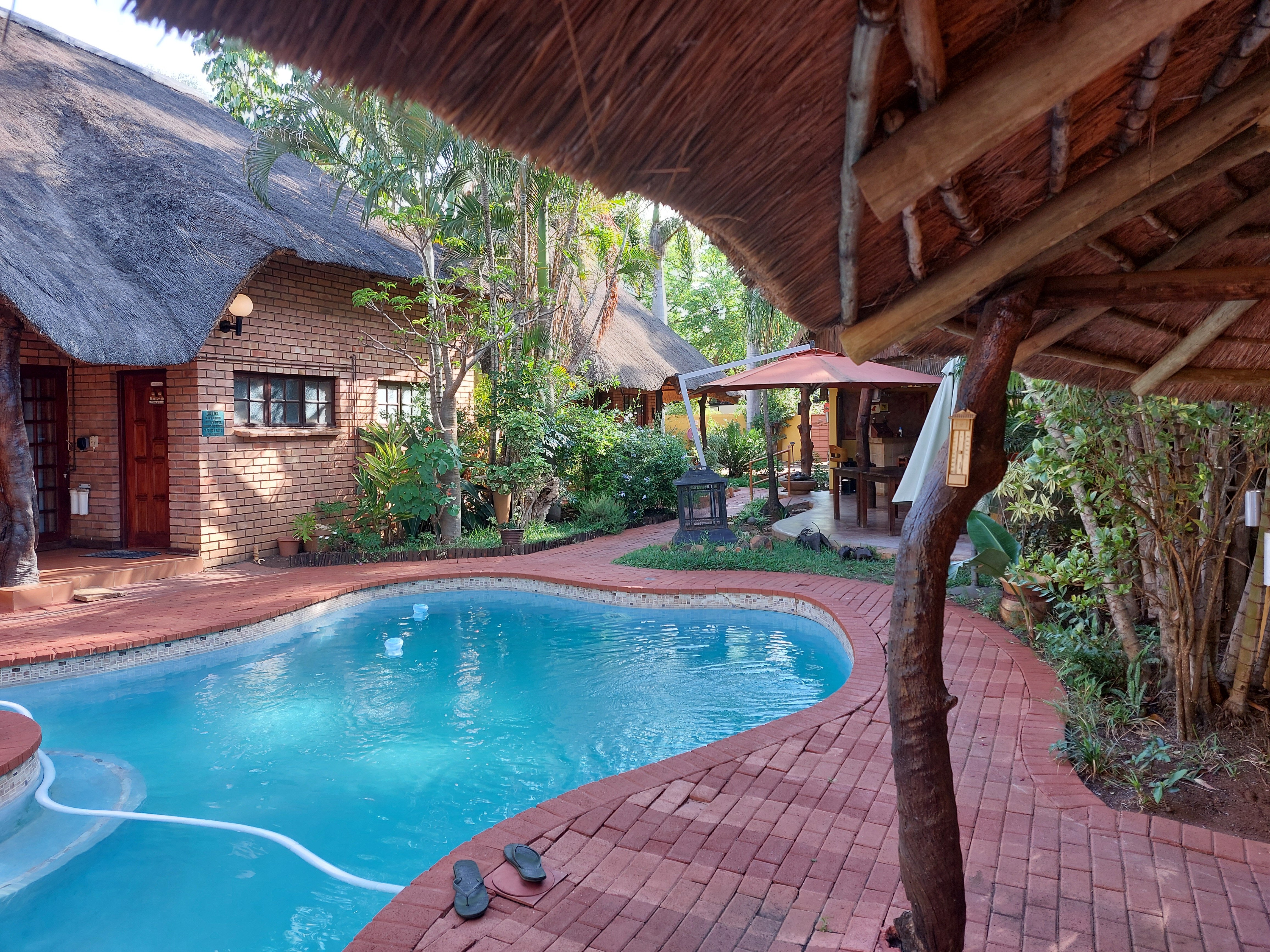 Trees Too Guest Lodge-泳池