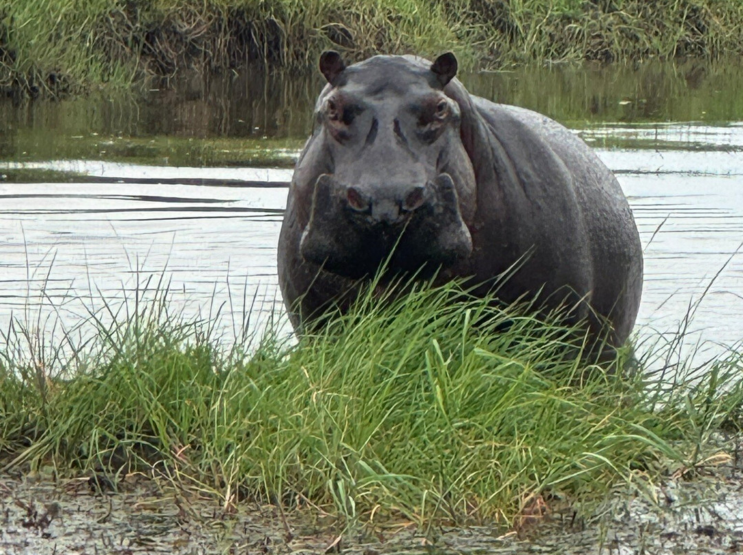 Embrace Safaris-马翁必去景点