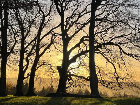 Londonita-伦敦必去景点