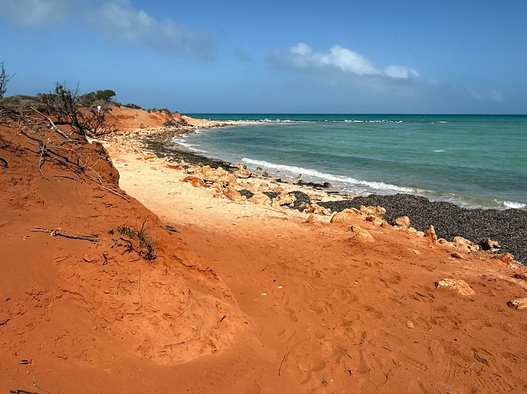 Shark Bay Coastal Tours-德纳姆必去景点