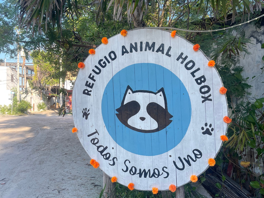 Refugio Holbox-Holbox Island必去景点