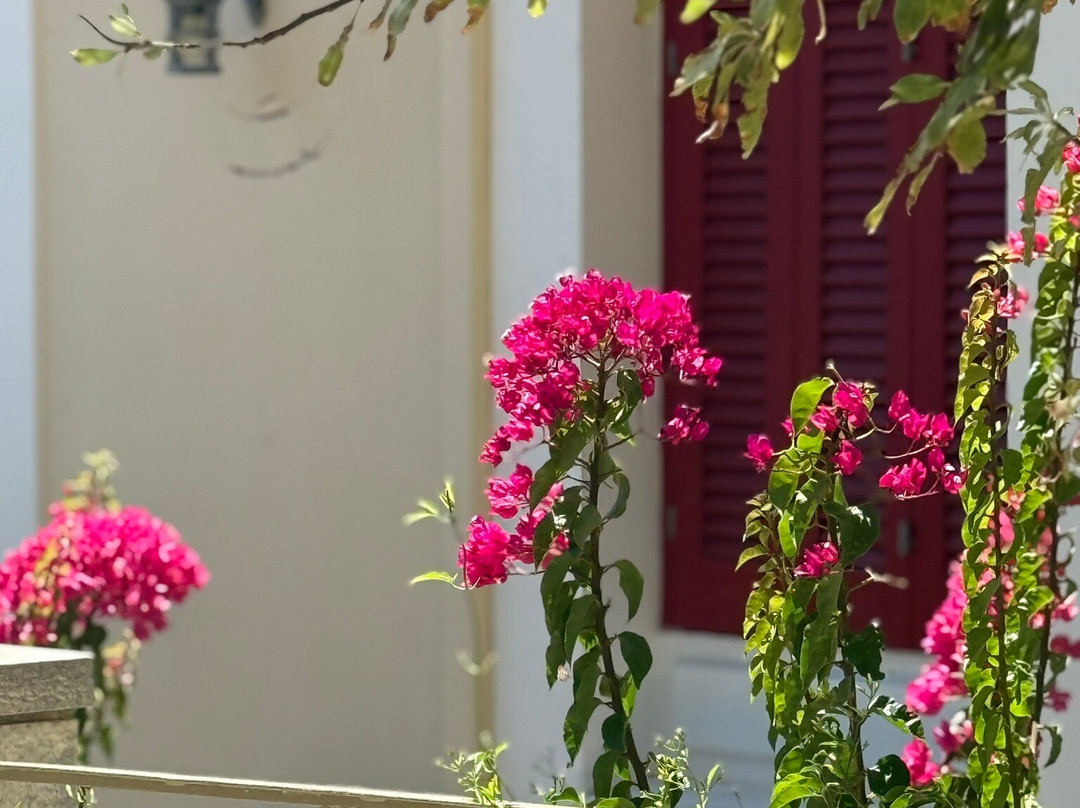 Fiscardo Harbor-菲斯卡尔宗必去景点