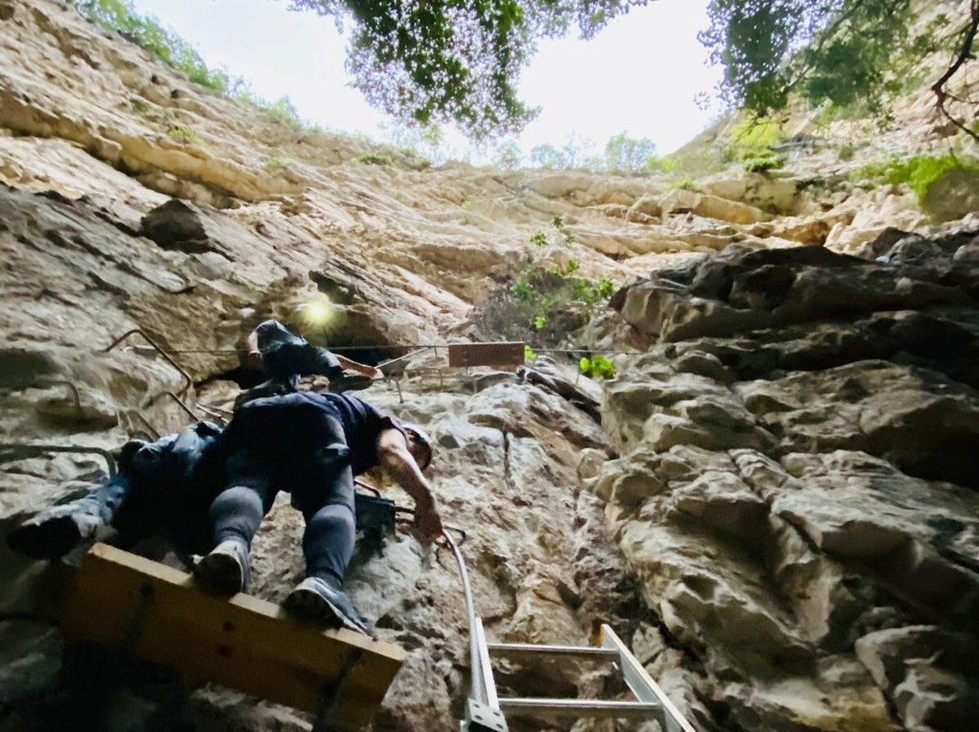 Sima de las Cotorras-恰帕斯必去景点