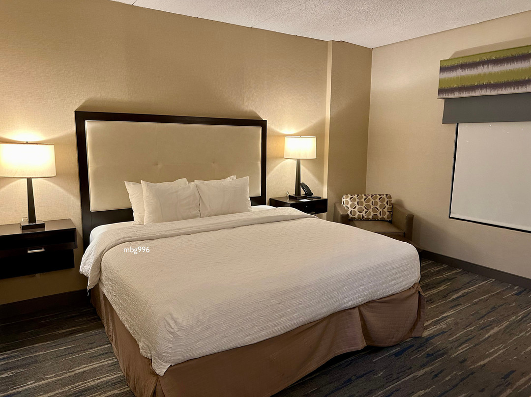 波士顿诺伍德汉普顿酒店主图