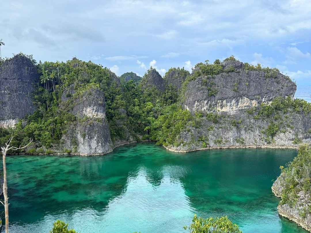 Olin Dive Center-Waisai必去景点