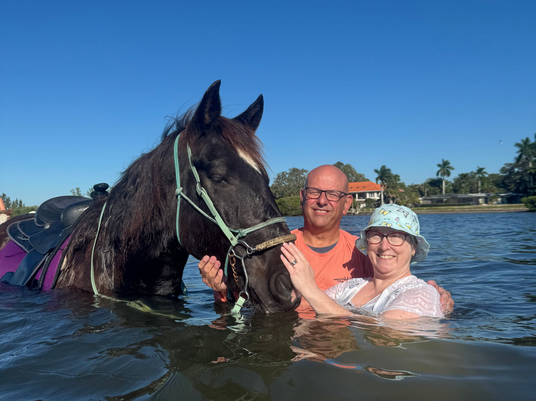 Florida Beach Horses-布雷登顿必去景点