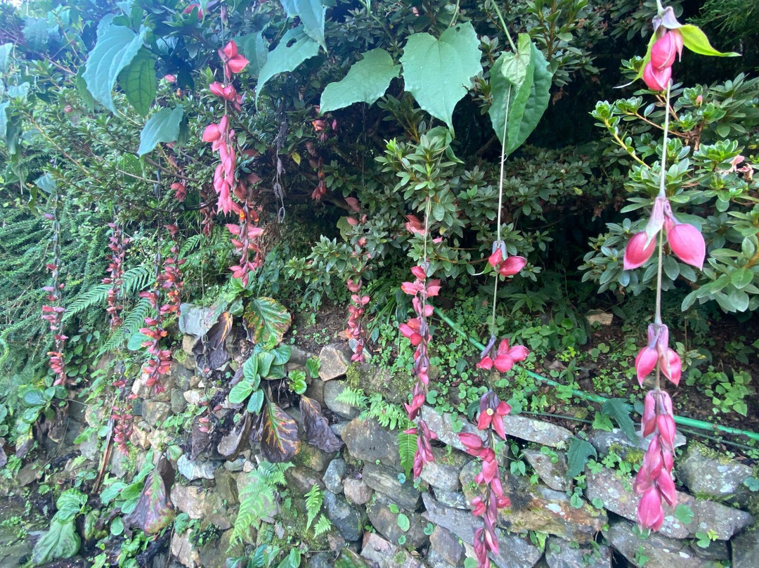 Lord Tours & Travels-甘托克必去景点