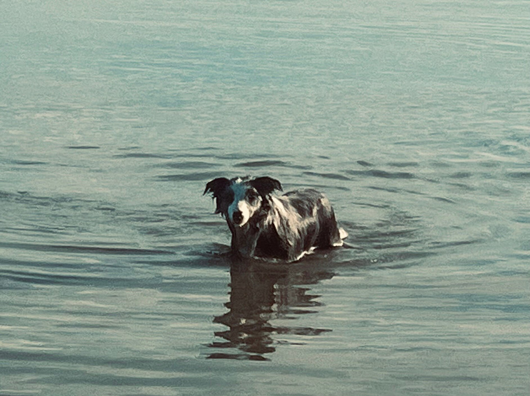 Lake Wairarapa-Featherston必去景点